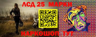 2c-b Кингисепп