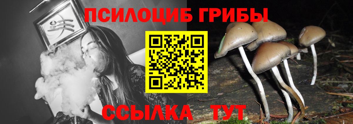 как найти закладки  Вход с VPN  Дедовск  Галлюциногенные грибы Cubensis 