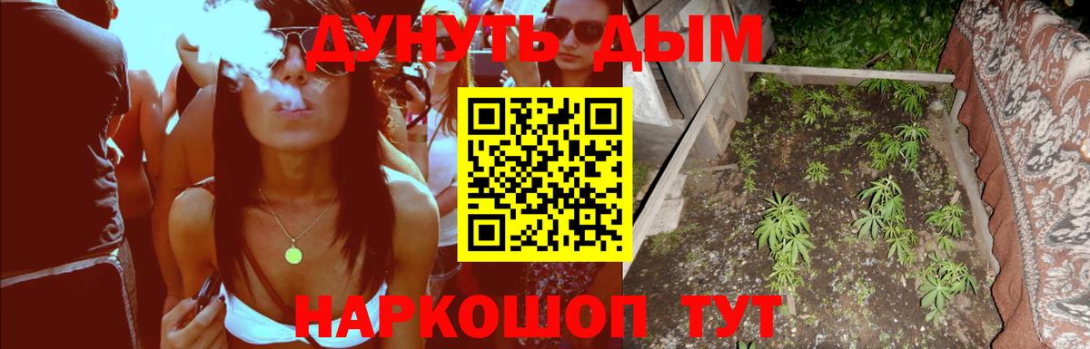 Шишки марихуана OG Kush  Шишки марихуана THC 21%  Вход с VPN  Канабис семена  МАРИХУАНА сатива  Дедовск 